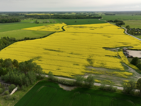 Из-за высоких цен на топливо фермеры могут сократить площади или даже ликвидироваться