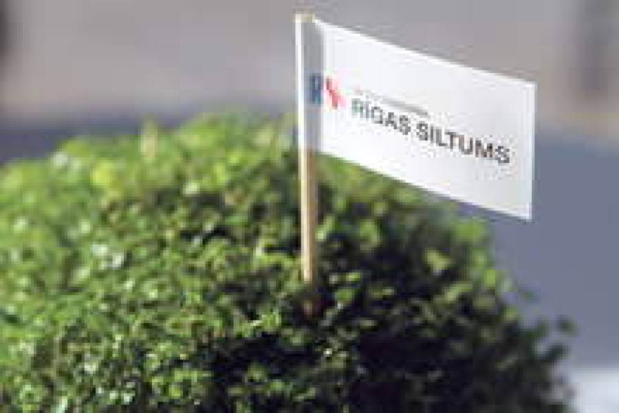 Государство продаст Rīgas siltums не сразу