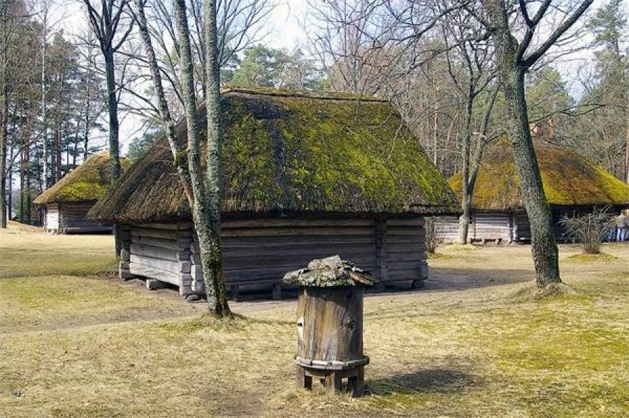 Треть латвийцев к старости хотели бы переехать на село