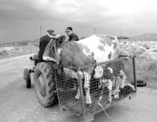 Латвийские производители в Брюсселе остались ни с чем