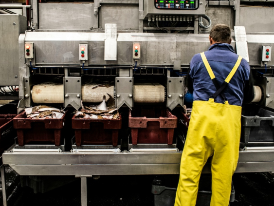 В октябре Латвия вошла в число 16 стран ЕС с ростом цен производителей - Eurostat