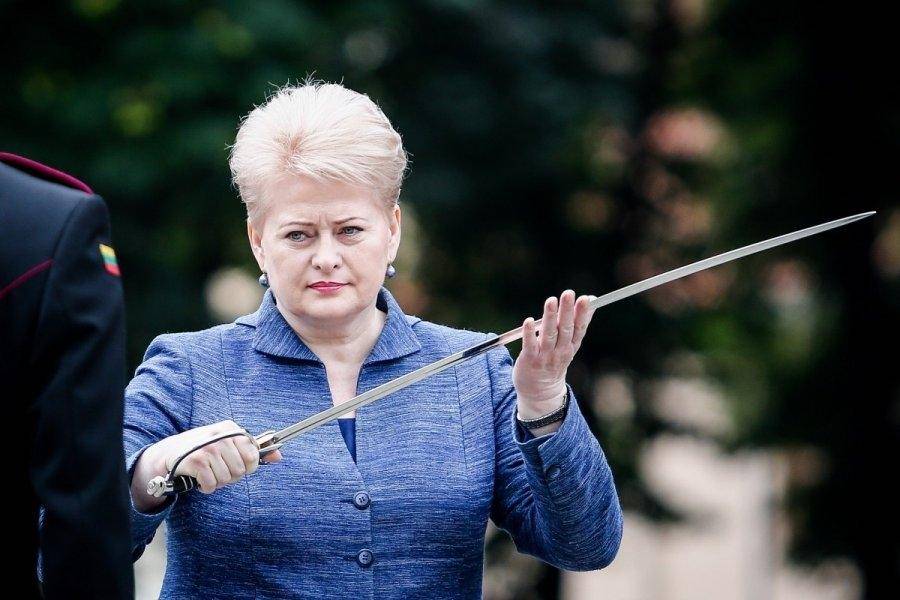 Грибаускайте договорилась: Литву накрыла волна банкротств автоперевозчиков