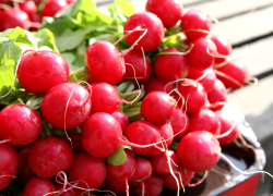 Инфляция в Латвии падает, но продукты дорожают