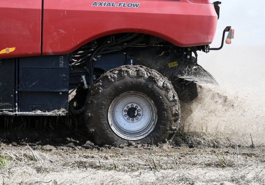 Этот год для сельского хозяйства Латвии был полон вызовов