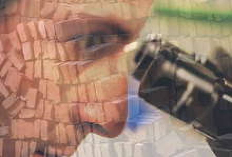 Шпионские технологии прописались в Елгаве