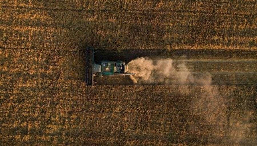 Россия ударит по сельхозпроизводителям ЕС