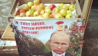 Полякам приходится есть все больше яблок назло Путину.