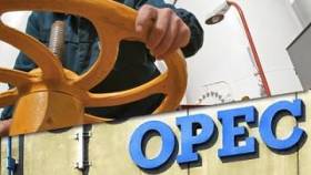 ОПЕК не может больше защищать цены на нефть