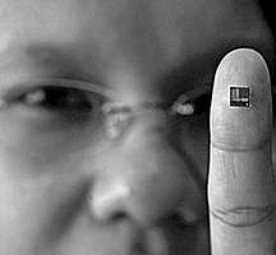 Биороботы — это реально