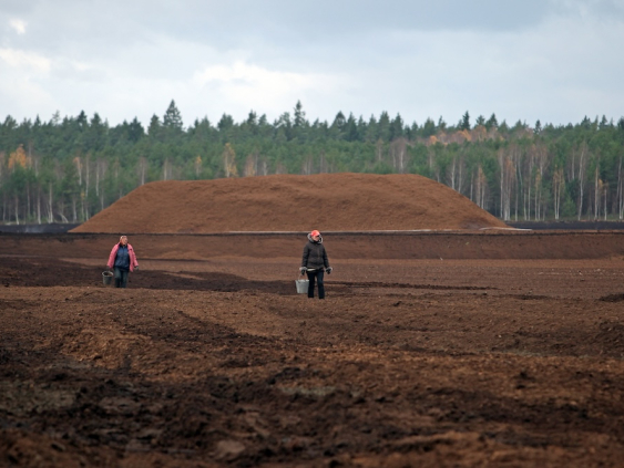 Ставку налога на природные ресурсы для торфа с 2027 года увеличат в пять раз