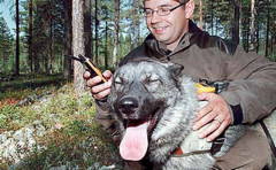 GPS не позволит заблудиться