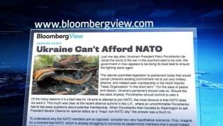 Bloomberg: НАТО против Украины в своих рядах