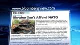 Bloomberg: НАТО против Украины в своих рядах
