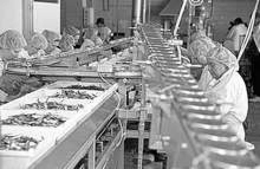 Воронеж дал бой шпротам