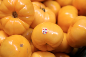 &laquo;Getliņi eko&raquo; проведёт аукцион по продаже урожая томатов и огурцов