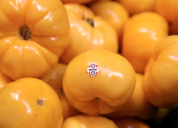 &laquo;Getliņi eko&raquo; проведёт аукцион по продаже урожая томатов и огурцов