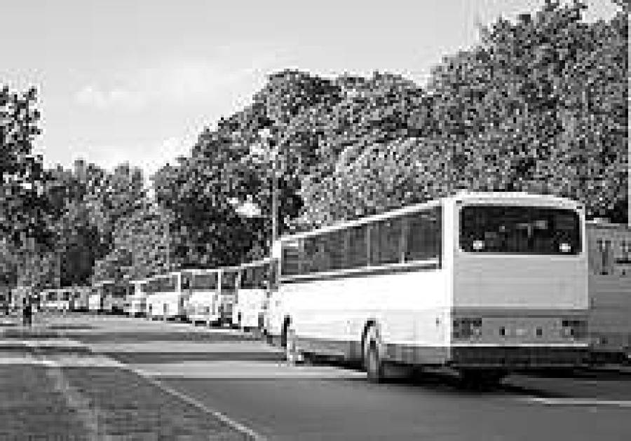 Только факты