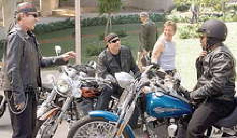 &ldquo;Реальные кабаны&rdquo;