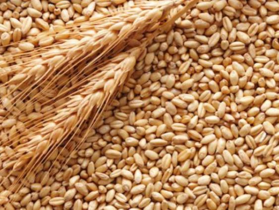 Латвия на втором месте в ЕС по импорту российских продуктов