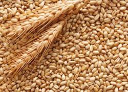 Латвия на втором месте в ЕС по импорту российских продуктов