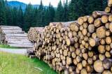 Налогообложение доходов от продажи лесоматериалов. Часть 2.