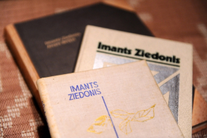 Нет денег: Музей Зиедониса предлагает передать своё собрание государству