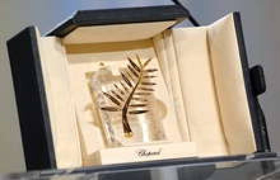 Канны: чего ждать на Лазурном Берегу