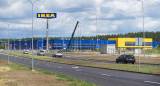 IKEA скупает леса в Балтии сотнями квадратных километров