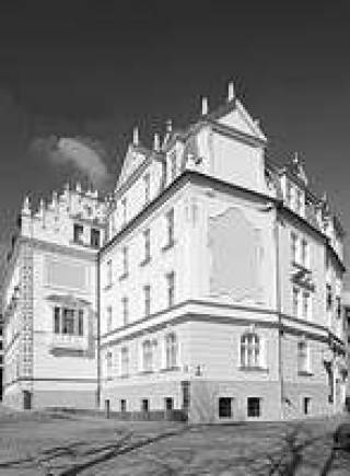 Школа бизнеса Nimfa: идеальный баланс между теорией и практикой