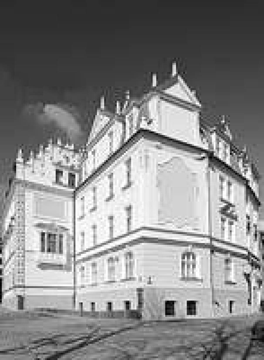 Школа бизнеса Nimfa: идеальный баланс между теорией и практикой