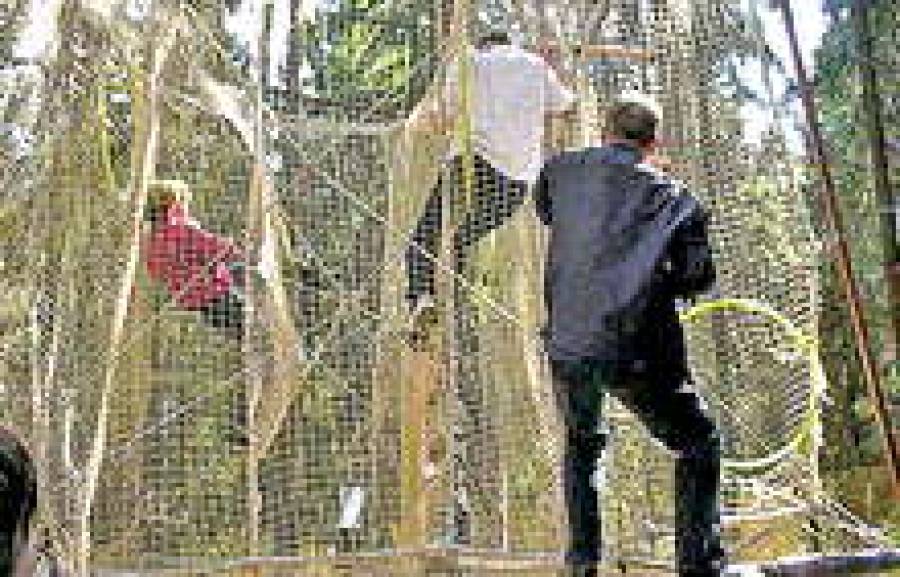 Многие предприниматели любят организовывать корпоративные мероприятия на природе.