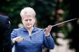 Грибаускайте почему-то уверена, что русские Литвы будут стрелять в русских России