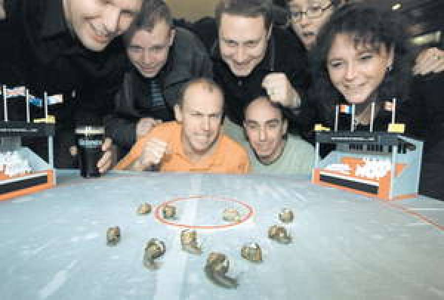 Ползучий деликатес.Латвийские улитки на французском столе.