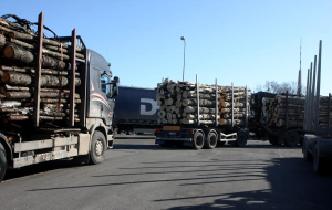 Объем вместо качества: в экспорте Латвии заметна низкая добавленная стоимость