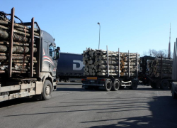 Объем вместо качества: в экспорте Латвии заметна низкая добавленная стоимость