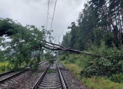 На устранение последствий бури Риге потребовалось не менее 1,6 миллиона евро. Работы продолжаются