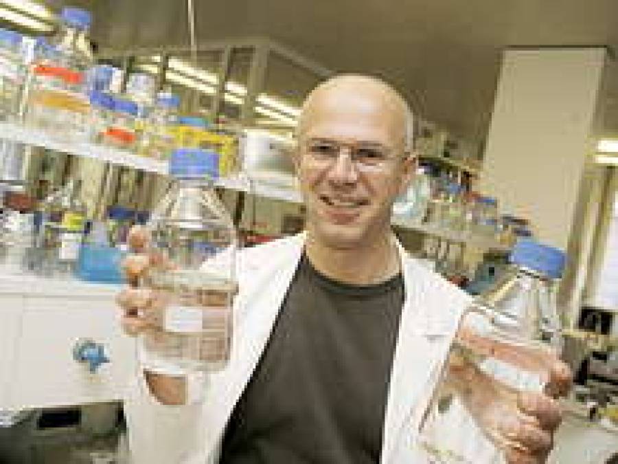 Под руководством профессора факультета эндокринологии и диабетологии Цюрихского университета Марка Доната швейцарские ученые разработали новый препарат, останавливающий развитие сахарного диабета.