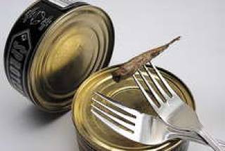 &ldquo;Входной билет в российские сети дороговат: за 10 видов консервов там я заплачу уже 400 тыс. долларов&rdquo;, &mdash; признался x председатель правления рыбоконсервного завода в Лиепае Kolumbija Ltd Игорь Крупник.