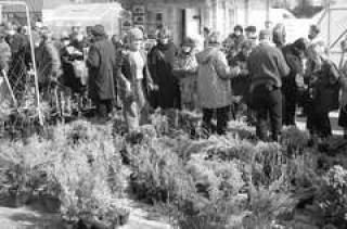 Латвия не использует свой потенциал