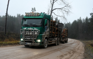 Кабмин не спешит с дисциплинарными мерами по делу деревообработчиков