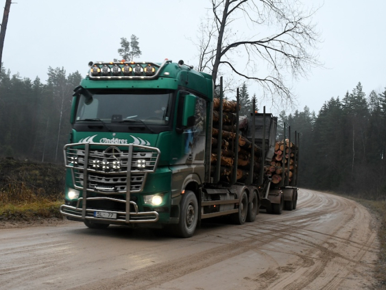 Кабмин не спешит с дисциплинарными мерами по делу деревообработчиков