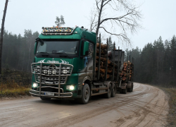 Кабмин не спешит с дисциплинарными мерами по делу деревообработчиков