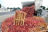 Бывшим колхозникам проще выбросить продукты, чем везти на рынок