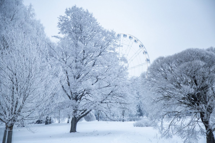 Холодная зима дала толчок росту электронной торговли продуктами питания
