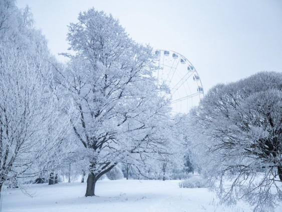 Холодная зима дала толчок росту электронной торговли продуктами питания