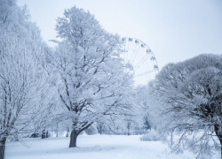 Холодная зима дала толчок росту электронной торговли продуктами питания