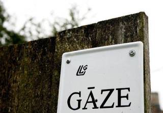 Citadele, теперь Latvijas gāze? Президент предлагает долю газовой компании американцам
