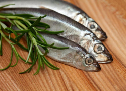 В Юрмале каждый четверг июля объявлен рыбным днем