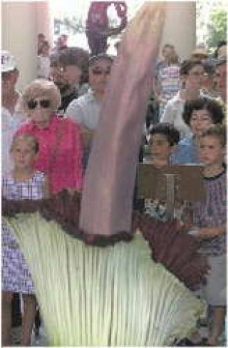 FOTOPRESS