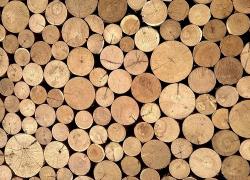 Экспорт продукции лесной отрасли Латвии за пять месяцев уменьшился на 4,7%